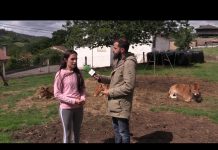 Entrevista a Vanessa Peixeiro, ganadera de Agüera, San Cucao (Llanera)
