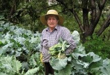 Envejecimiento activo y recursos para celebrar el Día de los Abuelos y Abuelas