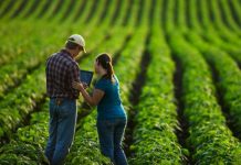 Emprendedoras rurales de FADEMUR reciben el impulso de profesionales de multinacionales