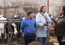 Entrevista a Montse Fernández Álvarez de Ganadería Casa Crista de Busllón (Tineo)