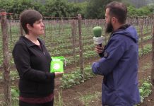 Entrevista a Rocío Martínez, productora de faba asturiana IGP