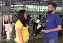 Entrevista a Lara González, de la Ganadería Mingón, en Sabadel de Troncedo (Tineo)