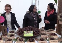 Entrevista a Luisa Alonso y Carmen Rosa Fumero en el Certamen de la Castaña y Productos de la Huerta