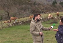 Entrevista a Flor González, ganadera de Belmonte de Miranda