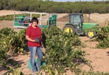 Última semana para presentar proyectos al Programa TalentA y ganar 5.000 euros