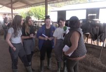 Entrevista a alumnas del Grado Superior de Ganadería y Asistencia en Sanidad Animal del IES de Luces