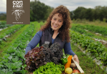 Con raíz femenina y cultivado en el medio rural