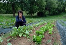 La cultura de la tierra