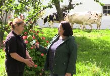 Entrevista a Rosa María López de Ganadería Ceferino S.C. de Ayones (Valdés)