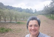 Labrando desde la raíz