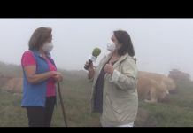 Entrevista a Amelia Díaz de Casa El Cuarto de Mieldes (Cangas del Narcea)