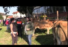 Entrevista a Ana Sampedro, ganadera