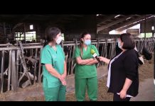 Entrevista a Tamara y Marta, jóvenes veterinarias en Tineo