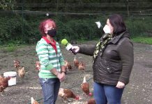 Entrevista a Sari González de Ecopitas