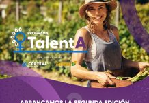Última semana para presentar proyectos al Programa TalentA