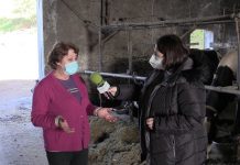 Entrevista a Mari Paz Fernández, Ganadería Casa El Calceteiro de Ordial de la Barca (Tineo)