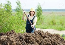 AFAMMER: “El objetivo de conseguir la igualdad salarial para las mujeres de las zonas rurales”