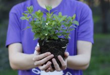 Mujeres rurales lanzan un ‘semillero virtual’ para denunciar la desigualdad en los pueblos