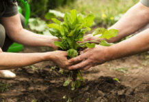 FADEMUR aplaude la llegada de incentivos a explotaciones de titularidad compartida