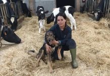 Cuajando tradición y futuro