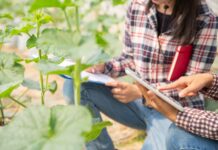 El Gobierno aprueba un real decreto para incentivar la igualdad de las mujeres en las explotaciones agrarias de titularidad compartida