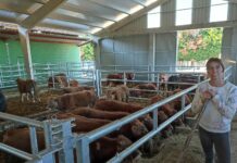 Mujer rural en Asturias: Lucha y desafío