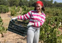 Emprendedoras rurales: continúa abierto el plazo para solicitar becas Ruraltivity de 5.000 euros