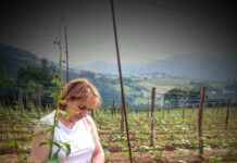 Alvarina Mayo Bueno, productora de IGP Faba de Asturias: “No cambiaría esto por nada”