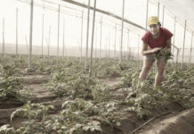 La dictadura de lo cotidiano. Reflexiones de una mujer rural