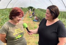 Entrevista a Yolanda Suárez de El Puerto, Pequeños Frutos