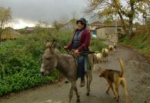 FADEMUR eleva ante la UE el papel de las mujeres rurales para afrontar el envejecimiento de la población y el despoblamiento rural