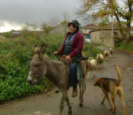 FADEMUR eleva ante la UE el papel de las mujeres rurales para afrontar el envejecimiento de la población y el despoblamiento rural
