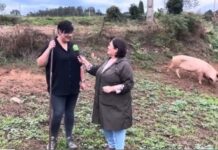 Entrevista a Tatiana Álvarez Capita, fundadora de Ca Mamina de Premoño