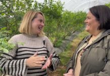 Entrevista a Jessica García Fresno es la titular de Arándanos El Llano