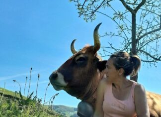 Aida Rodríguez de Ganadería Regueiro de Carballedo (Allande): “Nunca dudé en coger el relevo en la ganadería familiar”