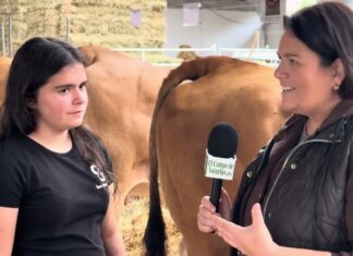 Entrevista a Claudia Menéndez Lago, futura ganadera de Parrondo (Cangas del Narcea)